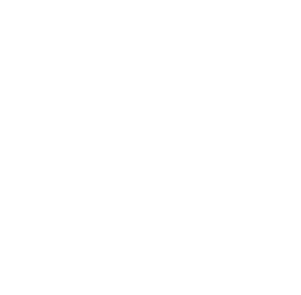 Kärnter Wirtschaft Förderung